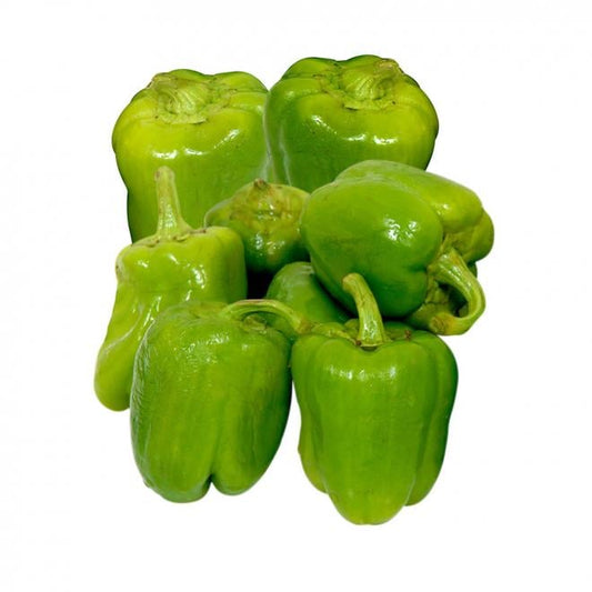 Capsicum - شملہ مرچ